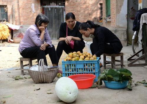 丰县吃瓜事件视频,真相与争议的交织 第2张 丰县吃瓜事件视频,真相与争议的交织 第2张