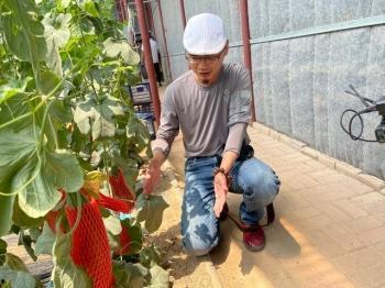 农民大棚吃瓜视频,农民吃瓜视频走红网络 第3张 农民大棚吃瓜视频,农民吃瓜视频走红网络 第3张