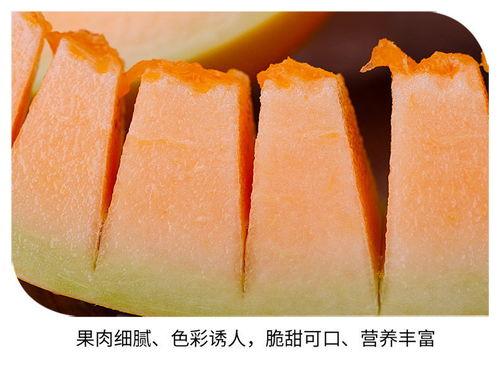 吃陕西黄河蜜瓜视频  第2张