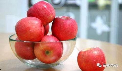 大瓜头吃苹果视频大全集 第2张 大瓜头吃苹果视频大全集 第2张