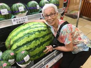 吃瓜大西瓜视频,揭秘吃瓜大西瓜视频的精彩瞬间 第3张 吃瓜大西瓜视频,揭秘吃瓜大西瓜视频的精彩瞬间 第3张