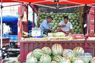 广东人天天吃瓜视频,揭秘日常饮食中的瓜文化 第3张 广东人天天吃瓜视频,揭秘日常饮食中的瓜文化 第3张