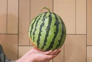 西昌十七度吃瓜最新视频,揭秘网红美食背后的故事