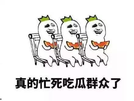 有道理的吃瓜群众视频大全,视频大全背后的趣味与真相 第2张 有道理的吃瓜群众视频大全,视频大全背后的趣味与真相 第2张