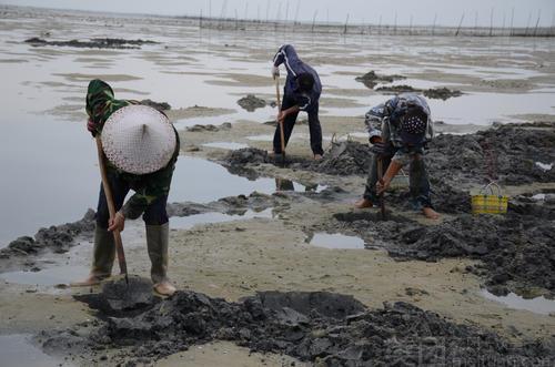 日照海滩吃瓜事件视频,一场引发热议的夏日冲突瞬间  第2张