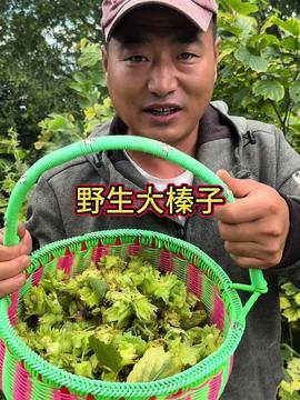 牛沙瓜怎么吃最好吃视频,视频教你轻松制作佳肴 第3张 牛沙瓜怎么吃最好吃视频,视频教你轻松制作佳肴 第3张