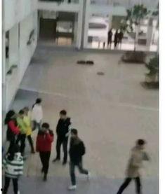 南阳吃瓜事件视频,一场网络热议背后的真相揭秘