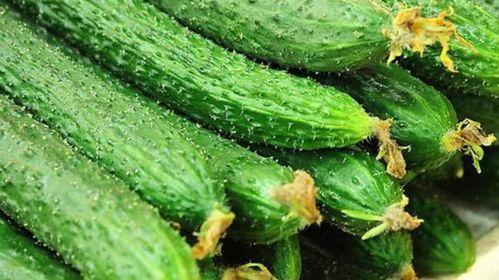 花花t台吃瓜视频,揭秘时尚圈幕后趣闻 第3张 花花t台吃瓜视频,揭秘时尚圈幕后趣闻 第3张