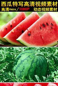 在土湾吃土瓜怎么样啊视频  第3张