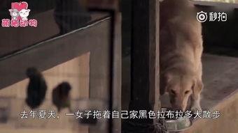 吃瓜被咬掉一块肉视频,网友直呼太真实 第3张 吃瓜被咬掉一块肉视频,网友直呼太真实 第3张