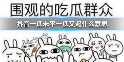 抖音搞笑段子吃瓜视频大全,吃瓜群众欢乐集结,笑料横飞视频大全 第3张 抖音搞笑段子吃瓜视频大全,吃瓜群众欢乐集结,笑料横飞视频大全 第3张