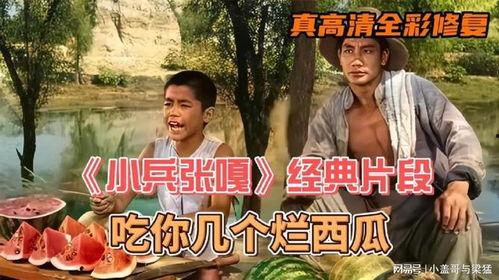 吃瓜视频大全集免费观看高清,免费高清畅享，揭秘娱乐圈幕后故事  第3张