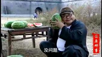 广宗吃瓜事件真相揭秘视频,揭秘背后真相与争议  第2张