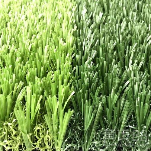 草坪吃瓜视频,吃瓜视频带你领略欢乐时光 第3张 草坪吃瓜视频,吃瓜视频带你领略欢乐时光 第3张