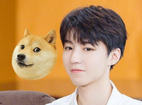 吃瓜少年王俊凯视频大全,笑料百出,欢乐无限 第3张 吃瓜少年王俊凯视频大全,笑料百出,欢乐无限 第3张