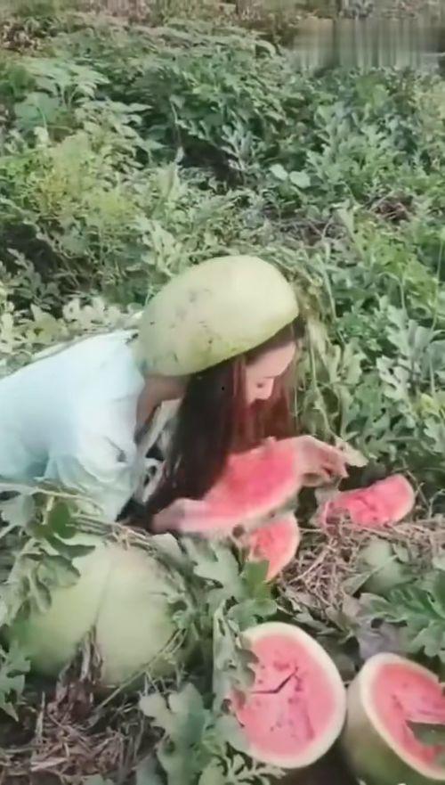 最漂亮小姐姐吃瓜视频大全,笑料百出! 第2张 最漂亮小姐姐吃瓜视频大全,笑料百出! 第2张