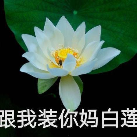 网红头像吃瓜视频大全,揭秘网络红人的幕后故事 第2张 网红头像吃瓜视频大全,揭秘网络红人的幕后故事 第2张