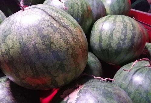 种瓜吃瓜的视频怎么拍,跟随种瓜吃瓜视频，体验田园生活乐趣