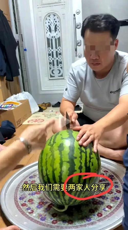 种瓜吃瓜的视频怎么拍,跟随种瓜吃瓜视频,体验田园生活乐趣 第2张 种瓜吃瓜的视频怎么拍,跟随种瓜吃瓜视频,体验田园生活乐趣 第2张