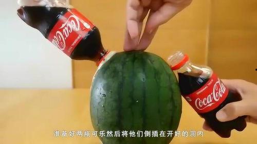 外国人吃酸瓜视频,外国友人的酸爽体验大揭秘 第2张 外国人吃酸瓜视频,外国友人的酸爽体验大揭秘 第2张