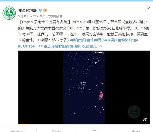 吃瓜十二时辰直播视频,直播带你领略娱乐圈风云变幻 第2张 吃瓜十二时辰直播视频,直播带你领略娱乐圈风云变幻 第2张