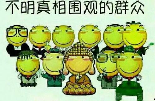 吃瓜群众的小跟班视频下载,揭秘小跟班吃瓜群众视频下载背后的故事  第3张