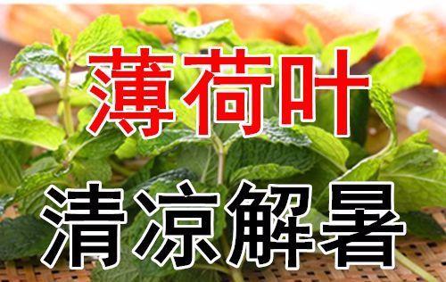 吃三叶瓜视频大全图片下载,视频大全中的美味瞬间