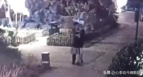 吃瓜哥视频完整版,揭秘娱乐圈幕后真相,带你领略明星真实生活 第2张 吃瓜哥视频完整版,揭秘娱乐圈幕后真相,带你领略明星真实生活 第2张