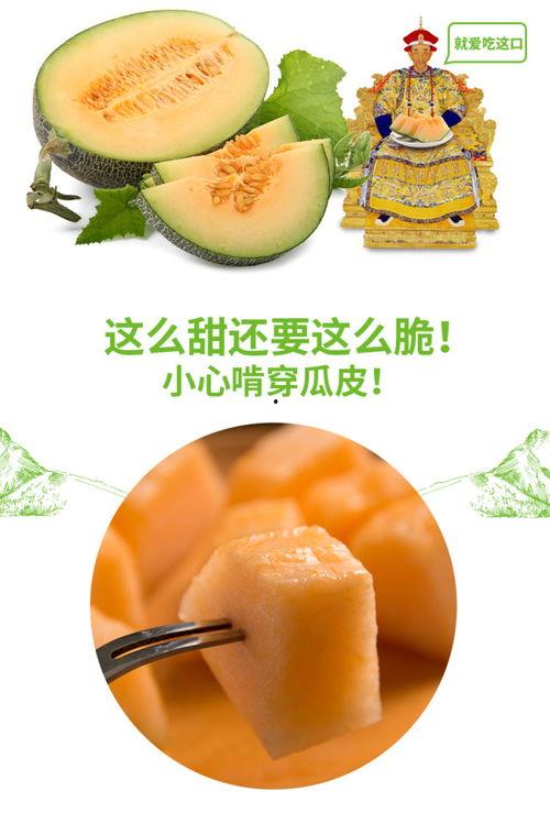 宋小欠吃蜜瓜视频,甜蜜瞬间,尽享夏日清凉 第2张 宋小欠吃蜜瓜视频,甜蜜瞬间,尽享夏日清凉 第2张