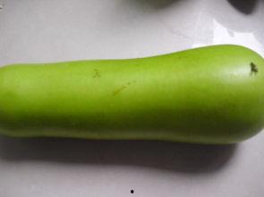 吃瓜葫芦视频,短视频中的趣味与真相