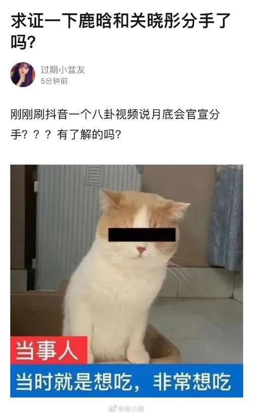 鹿晗吃瓜八卦视频大全 第3张 鹿晗吃瓜八卦视频大全 第3张