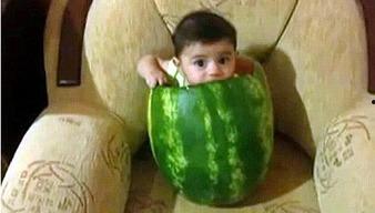 吃瓜专属歌曲大全图片视频,带你领略音乐界的“瓜界风云” 第3张 吃瓜专属歌曲大全图片视频,带你领略音乐界的“瓜界风云” 第3张