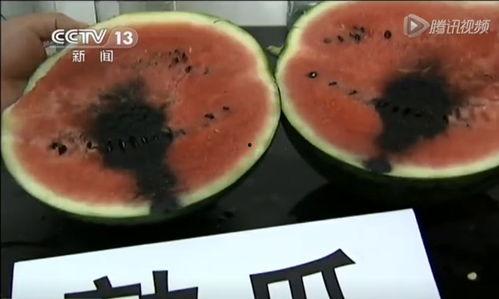 我们是专业的吃瓜视频,揭秘娱乐圈幕后真相! 第3张 我们是专业的吃瓜视频,揭秘娱乐圈幕后真相! 第3张