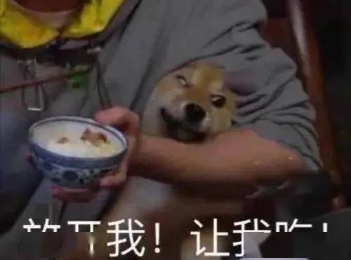 带你吃瓜搞笑假人视频,搞笑假人视频趣味盘点  第3张