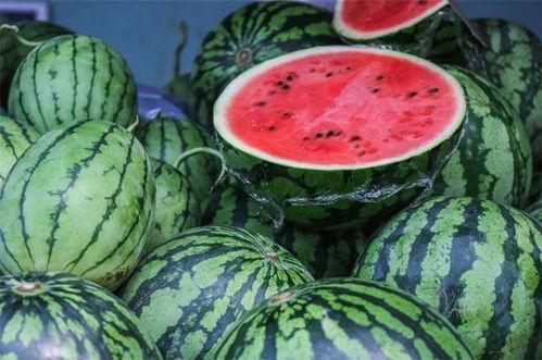 近几年吃瓜视频,近几年热门吃瓜视频盘点 第3张 近几年吃瓜视频,近几年热门吃瓜视频盘点 第3张