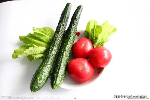 吃瓜蔬菜直播视频下载,蔬菜美食盛宴，一键下载尽享美味时光  第2张