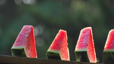 吃篮子瓜的视频素材,一场视觉与味觉的双重盛宴 第2张 吃篮子瓜的视频素材,一场视觉与味觉的双重盛宴 第2张