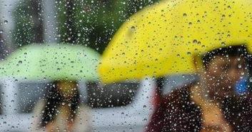 大风大雨吃瓜视频,吃瓜群众围观直播奇观 第2张 大风大雨吃瓜视频,吃瓜群众围观直播奇观 第2张