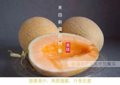 小伙伴吃哈密瓜视频大全  第2张