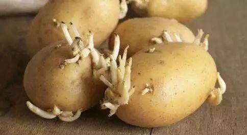 母亲吃瓜进医院视频大全,视频曝光引发网友热议  第2张