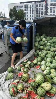 商丘吃瓜第一线视频,揭秘当地热门事件背后的真相