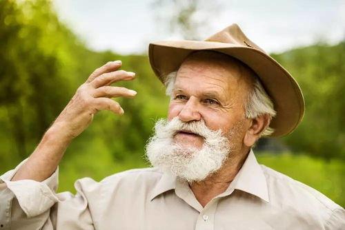 老人吵架吃瓜视频大全,欢乐瞬间尽收眼底  第2张