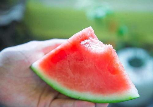 快乐吃瓜视频怎么做的,轻松打造热门短视频  第3张