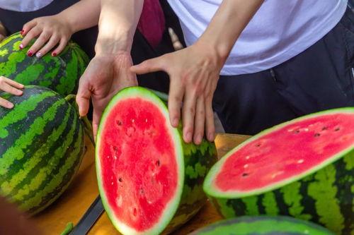 专科学校吃瓜视频,揭秘校园生活趣味瞬间  第2张