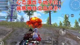 吃鸡吃瓜视频打架在哪里看,揭秘网络暴力现场 第2张 吃鸡吃瓜视频打架在哪里看,揭秘网络暴力现场 第2张