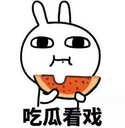 摸头吃瓜视频大全下载安装  第3张