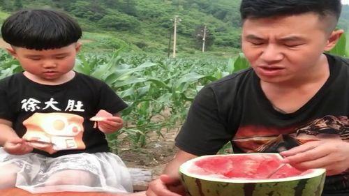 宝贝吃瓜比赛视频,萌娃欢乐秀,瓜果飘香童年趣 第2张 宝贝吃瓜比赛视频,萌娃欢乐秀,瓜果飘香童年趣 第2张