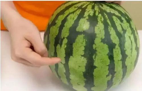 吃瓜视频一人分饰多角,揭秘吃瓜视频中的角色扮演奇观  第2张