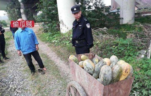 石门县吃瓜事件真相视频,揭秘背后真相与争议