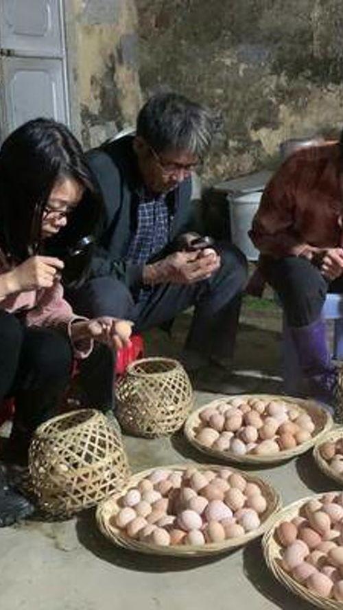 石门县吃瓜事件真相视频,揭秘背后真相与争议  第2张